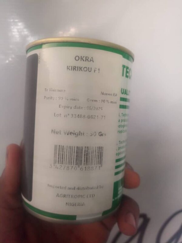 Okra Kirikou F1 | Hybrid | 50g | 100g