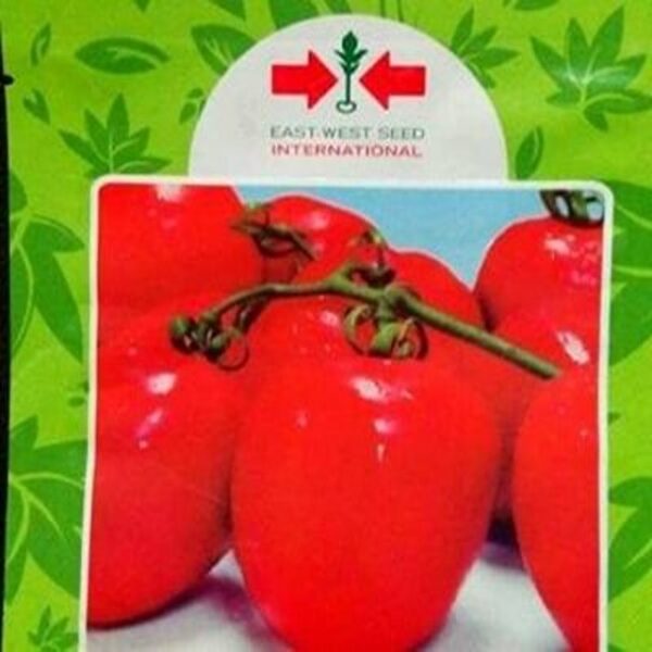 Padma 108 F1 Tomato Seeds (East West Seed | 5g)