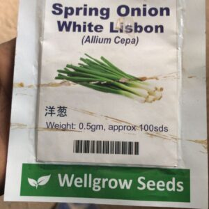 Spring Onion | 0.5g | Approximately 100 Seeds