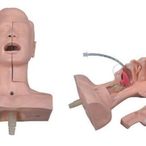buy Suction Training Model best price in nigeria from Allschoolabs.com