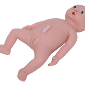buy Infant Nursing Manikin best price in nigeria from Allschoolabs.com