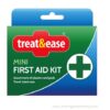Mini First Aid Kit