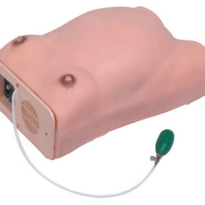 buy Maternity Examination Model best price in nigeria from Allschoolabs.com