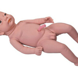 buy Infant with Umbilical Cord best price in nigeria from Allschoolabs.com
