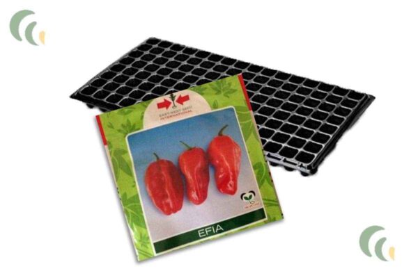 Pepper + Nursery Tray (Combo