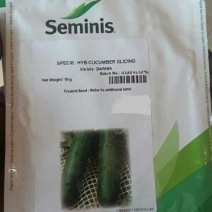 Darina F1 Cucumber seeds | 10g