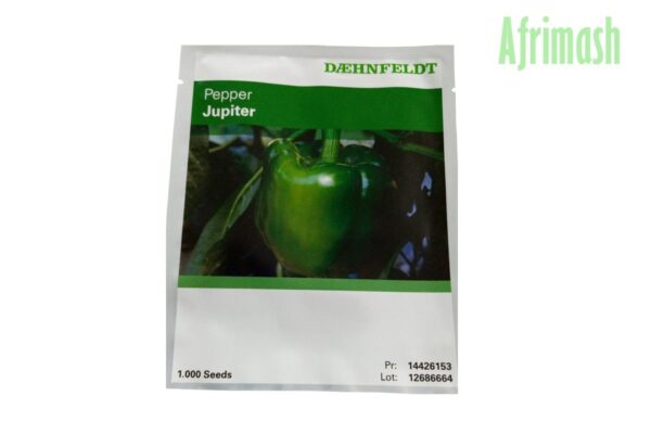 Jupiter Sweet Pepper Seeds (Syngenta Brand | 1000 Seeds)