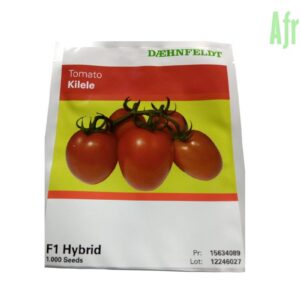 Kilele F1 Tomato Seeds (Syngenta | 1000 Seeds)