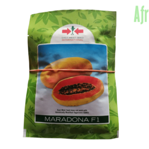 Maradona F1 (Dwarf Papaya | 100 Seeds)