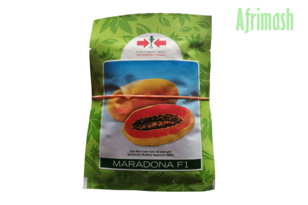 Maradona F1 (Dwarf Papaya | 100 Seeds)