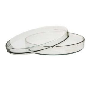 Petri Dish  Per Pack