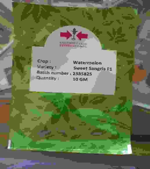 Sweet Sangria F1 Watermelon | 10g