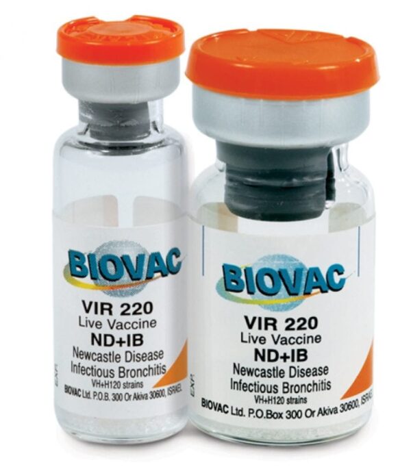 ND IB Vaccine (2-in-1 | Large Dose Vial | 1000 | 2000) + Transport Flask