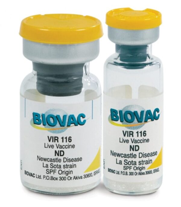 LaSota Vaccines (Izovac Brand | 1000-Dose) + Transport Flask