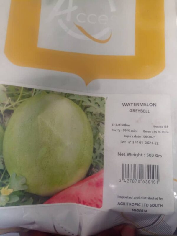 GreyBell Watermelon Seeds | Hybrid | 500g