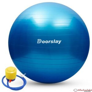 Anti-burst Yoga Ball 55cm/65cm/75cm Stability Balance Ball Pilates Barre Physical Fitness Exercise Ball with Air Pump
