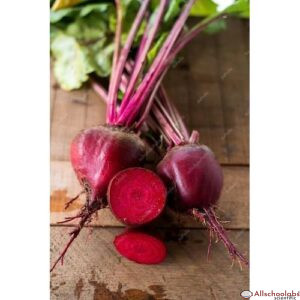 100 Pcs Artificial Beetroot