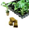 2019 Ty High Quality New Ventilative Planting Soilless Cultivation Rockwool Cubes Hydroponic Grow Mini Blocks Compress Base