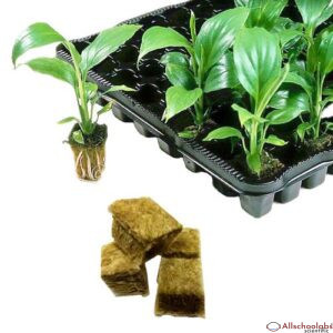 2019 Ty High Quality New Ventilative Planting Soilless Cultivation Rockwool Cubes Hydroponic Grow Mini Blocks Compress Base