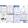 Brady Federal Labor Law Poster - Spanish/ Buy online