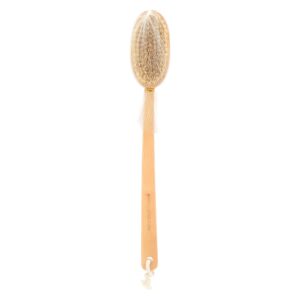 Earth Therapeutics Back Brush Ergo-Form Far Reaching - request current price on allschoolabs.com