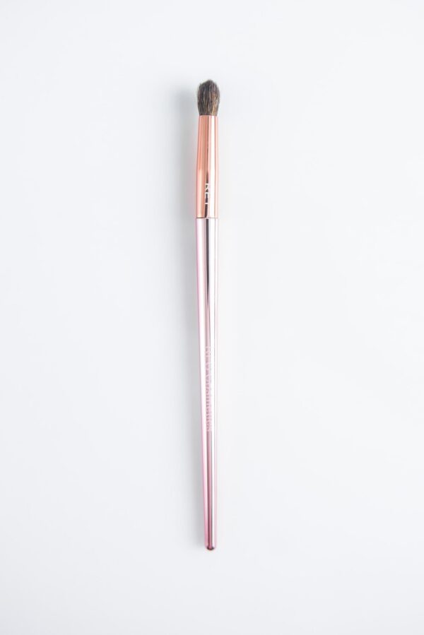 RLG Eye Brush RE1 - request current price on allschoolabs.com