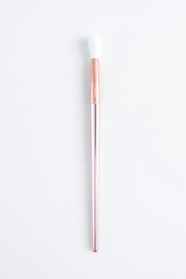 RLG Eye Brush RE5 - request current price on allschoolabs.com