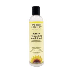 Jane Carter Nutrient Replenishing Conditioner - request current price on allschoolabs.com
