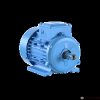 M2BAX 100LA 3GBA101510-BDC