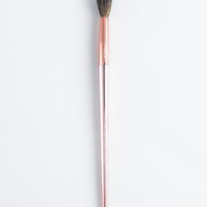 RLG Eye Brush RE4 - request current price on allschoolabs.com