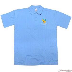 DWC TRUTEX ONE CLR POLO SHIRT (S) Blue