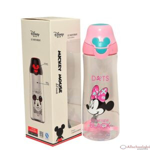 Disney Water Bottle