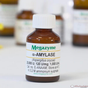 ?-Amylase (Aspergillus oryzae) - Imported, Available Upon Request