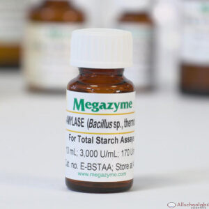 ?-Amylase (Thermostable) (Bacillus sp.) - Imported, Available Upon Request