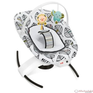Fisher Price 2-in-1 Sooth ?n Play Glider