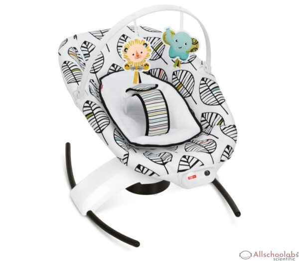 Fisher Price 2-in-1 Sooth ?n Play Glider