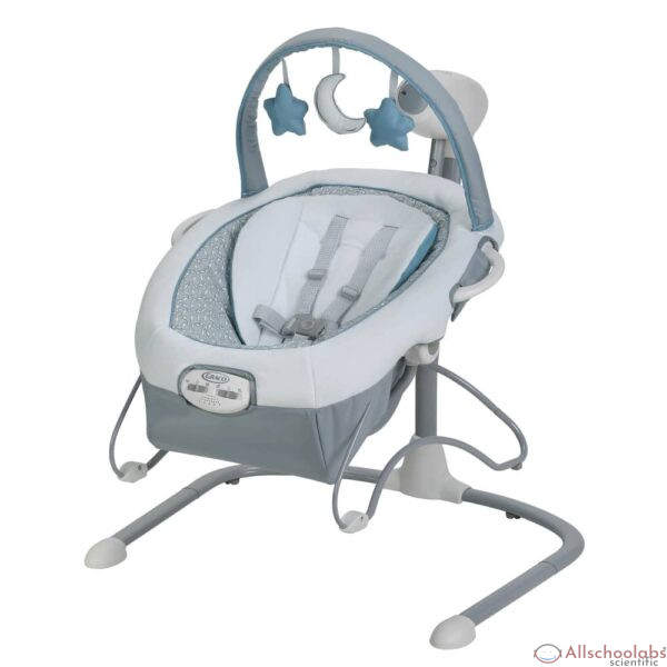 Graco Duet Sway LX Baby Swing With Portable Bouncer