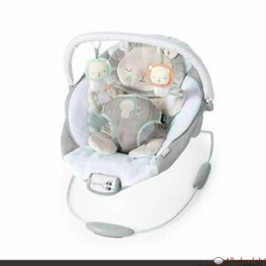 Ingenuity Baby Bouncer Seat with Vibration and Music -Landry Lion