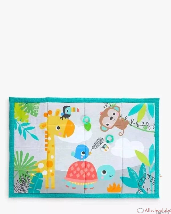Bright Starts Roam About Plush Activity Mat