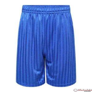 Innovation Stripe Sport Short Royal Blue