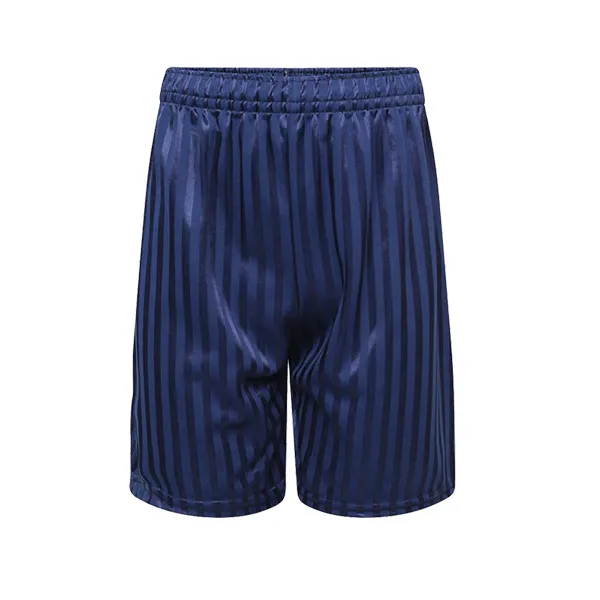 Innovation Stripe Sport Shorts Navy