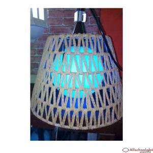Net pendant light
