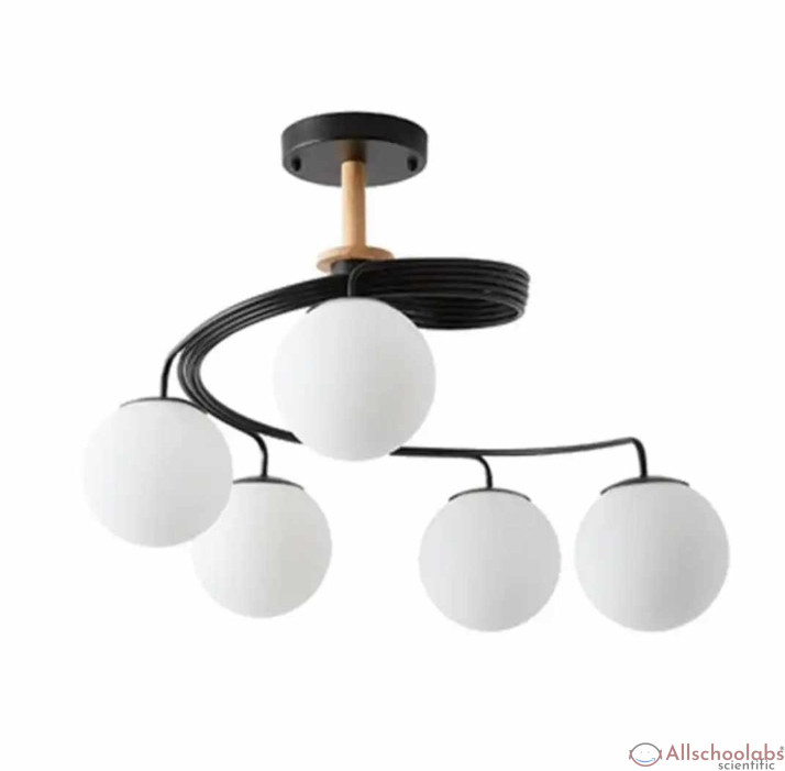 Ceiling Lights fittings