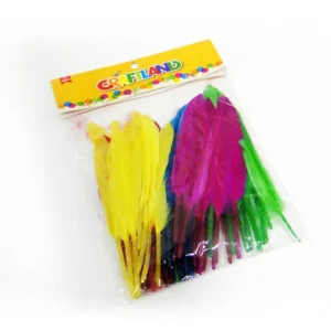 Diy Craft – Feathers