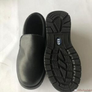 Safetoe – ESD Slip-on Safety Shoe