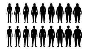 Body Mass Index (BMI) check - request current price on allschoolabs.com