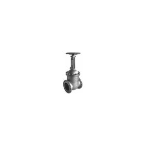 Krombach Stainless Steel Gate Valve