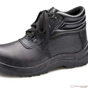 Allschoolabs Safety Shoes ? WIS6951