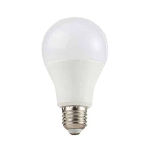 9W Led Bulb (Ordinary)