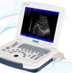 Ultrasound (Affordable LED, Portable Black and White with one probe)